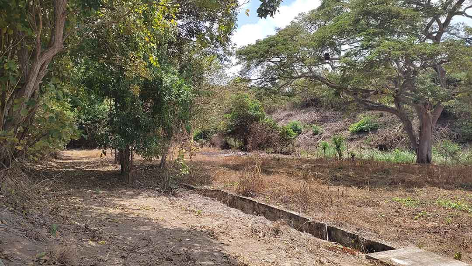 Ocean view land for sale