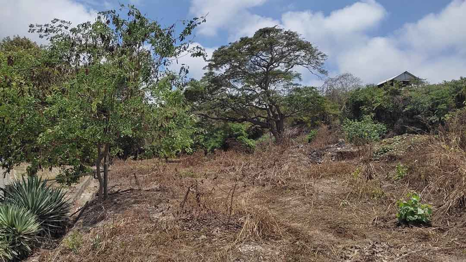 Ocean view land for sale