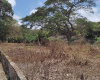 Ocean view land for sale