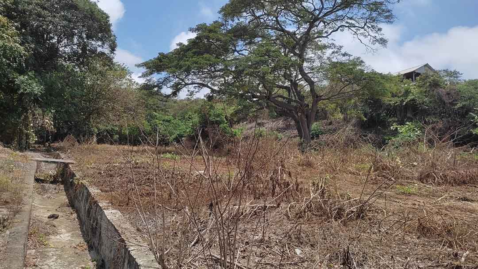 Ocean view land for sale
