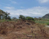 Ocean view land for sale
