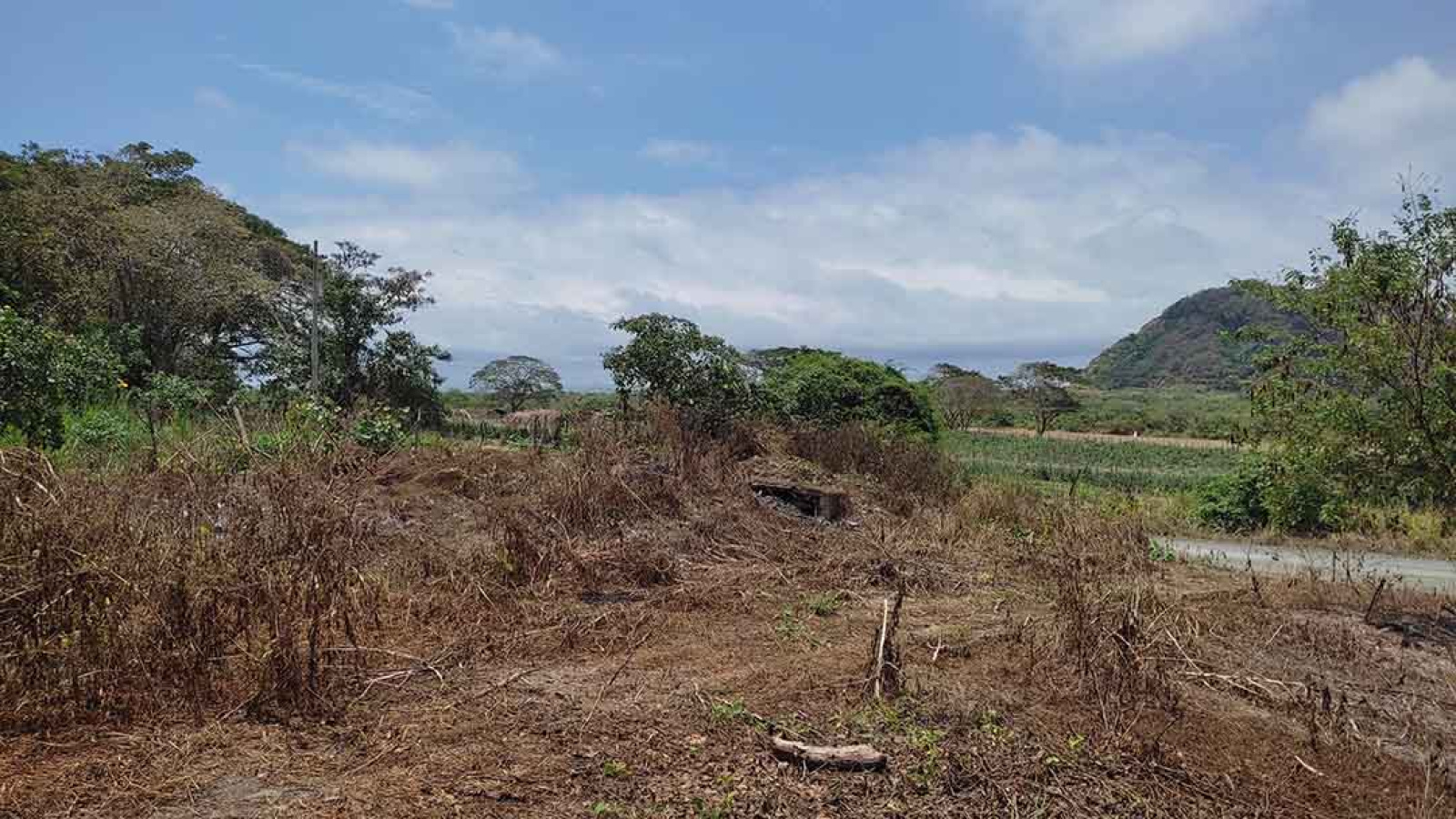 Ocean view land for sale