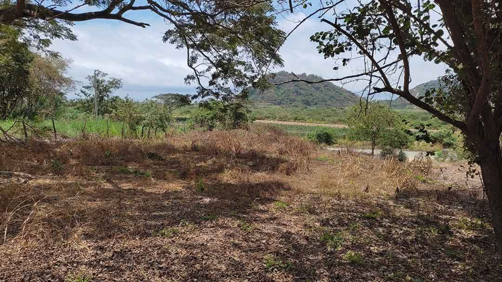Ocean view land for sale
