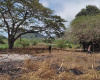 Ocean view land for sale
