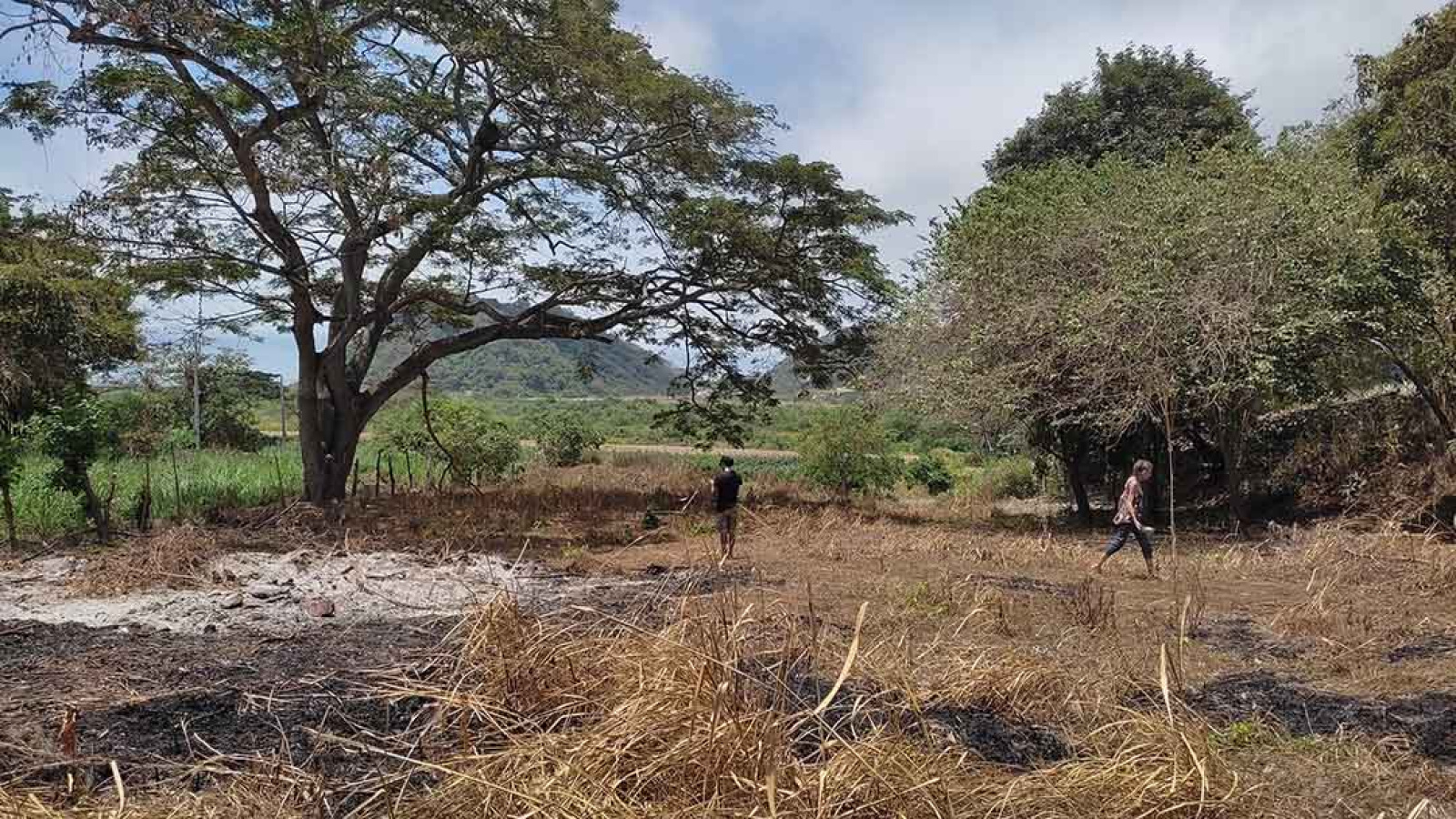 Ocean view land for sale