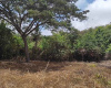 Ocean view land for sale