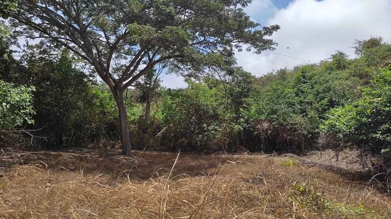 Ocean view land for sale