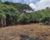 Ocean view land for sale