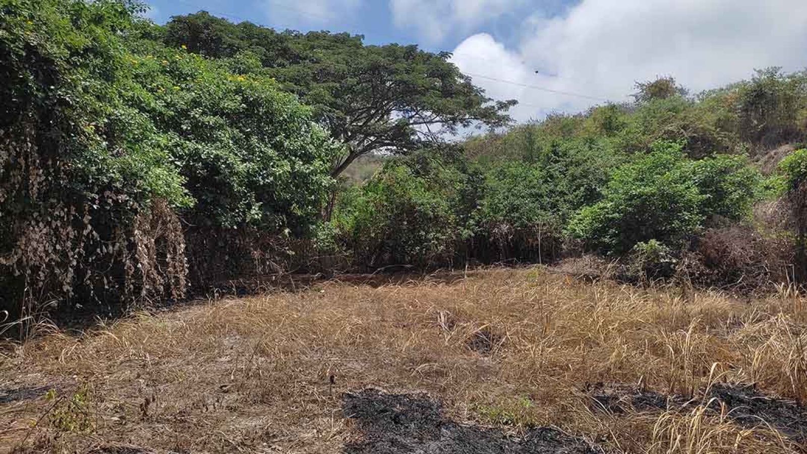Ocean view land for sale